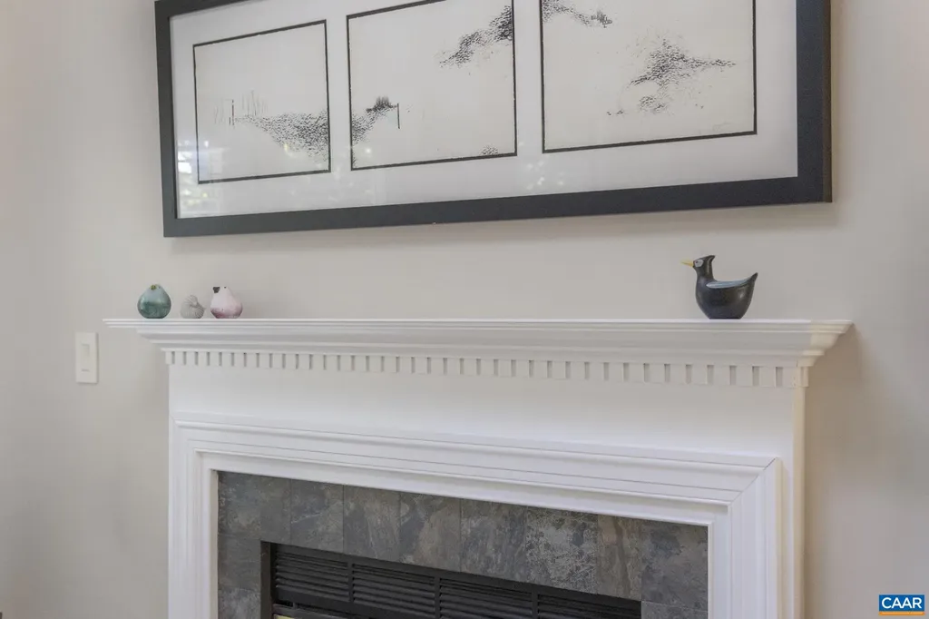 1197 Raintree Drive Charlottesville VA 22901