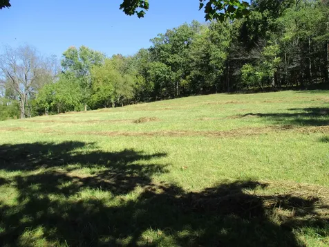 9720 Daphna Road Broadway VA 22815