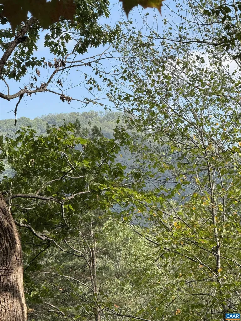 25 Falling Springs Drive Afton VA 22920