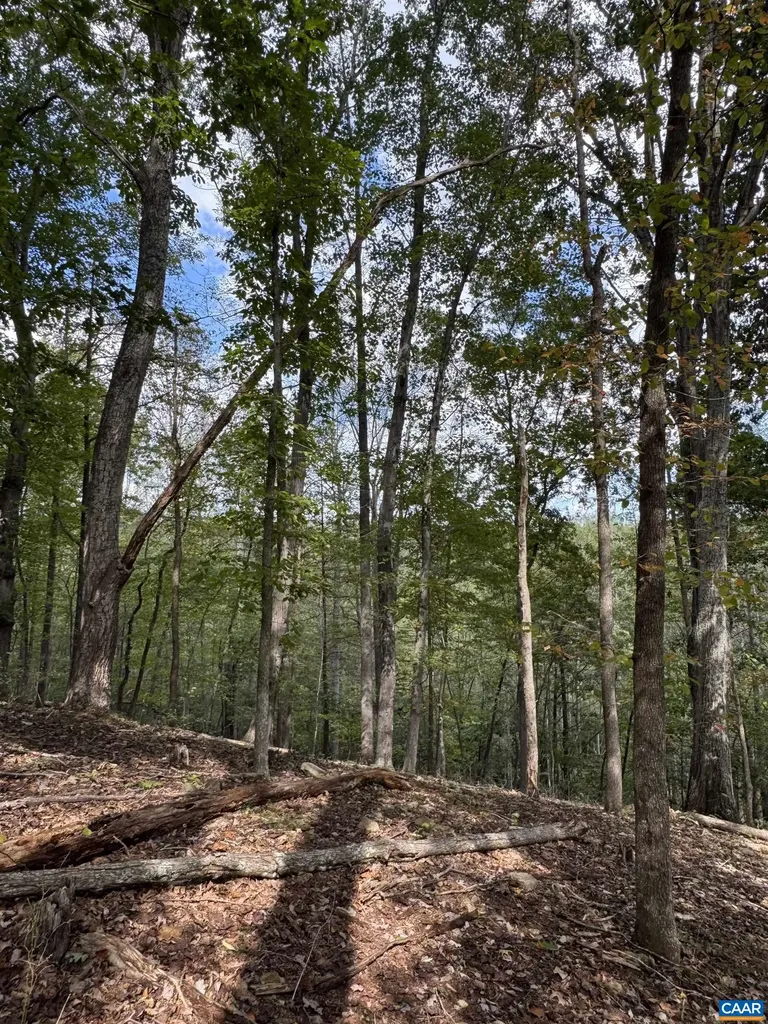 25 Falling Springs Drive Afton VA 22920