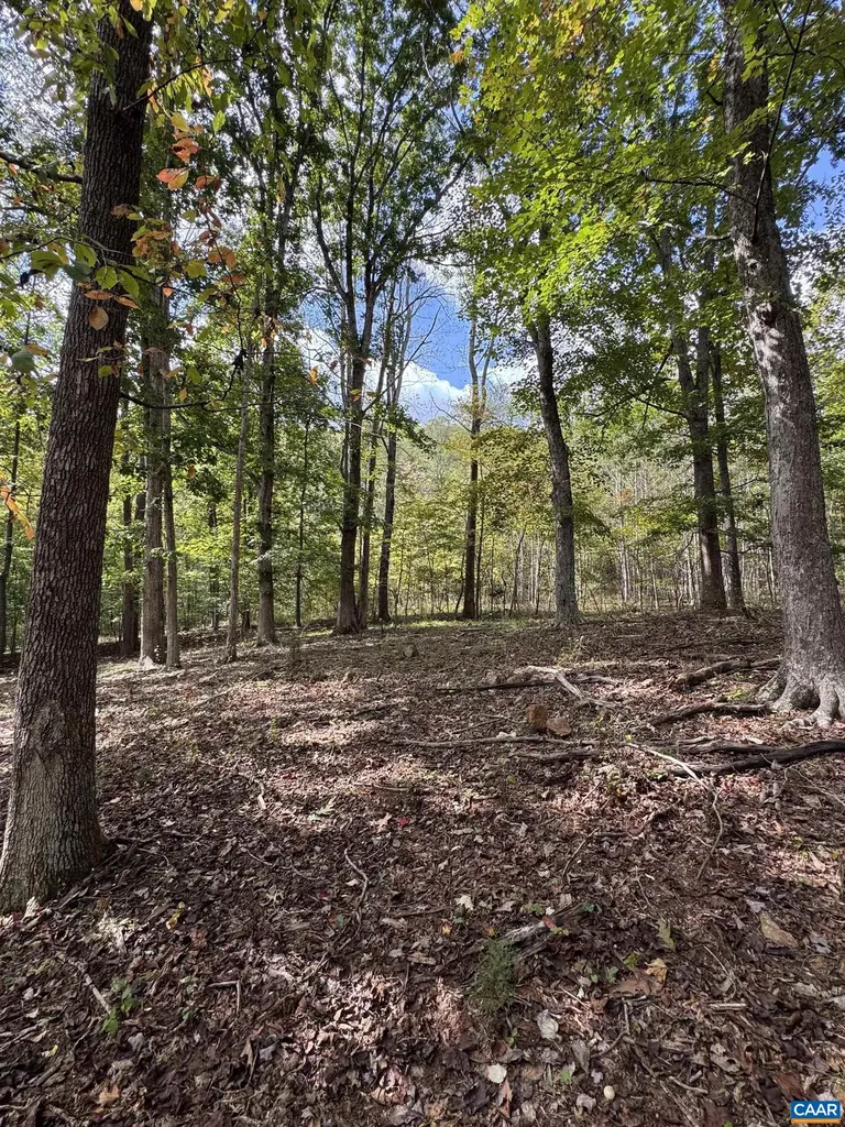 25 Falling Springs Drive Afton VA 22920