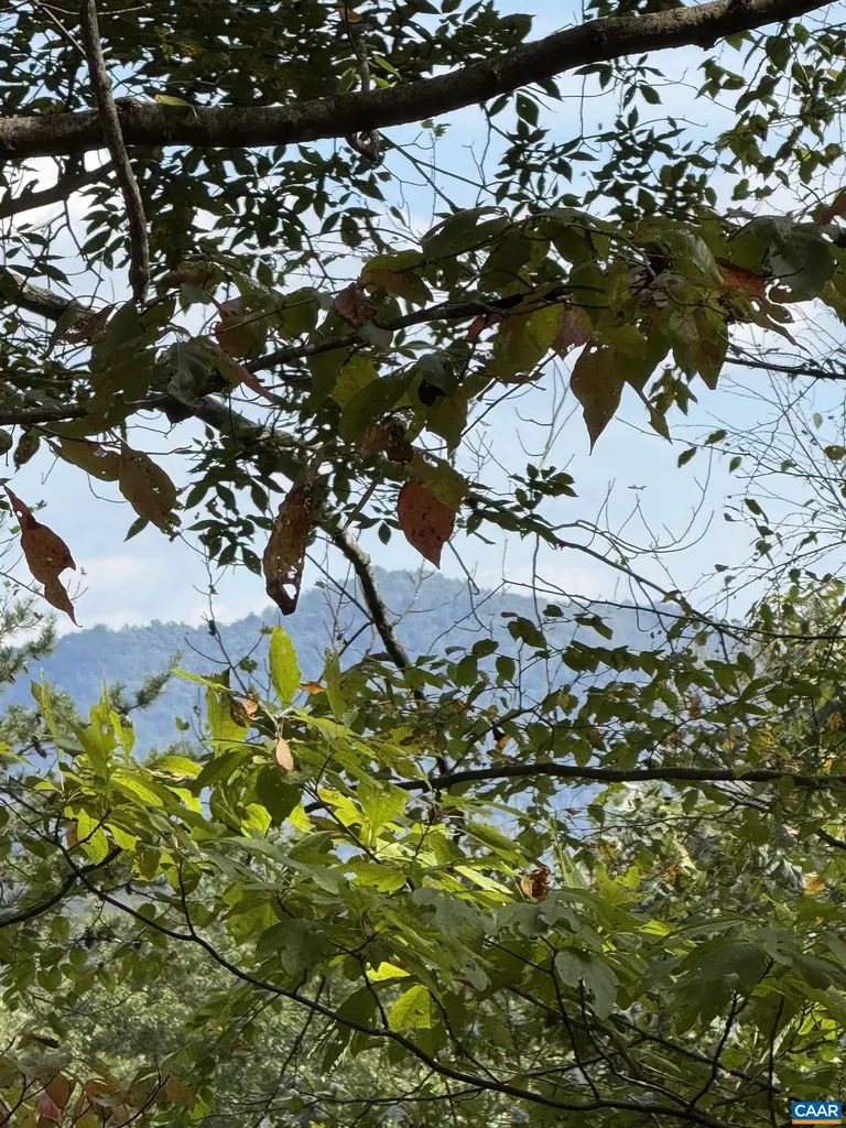 25 Falling Springs Drive Afton VA 22920