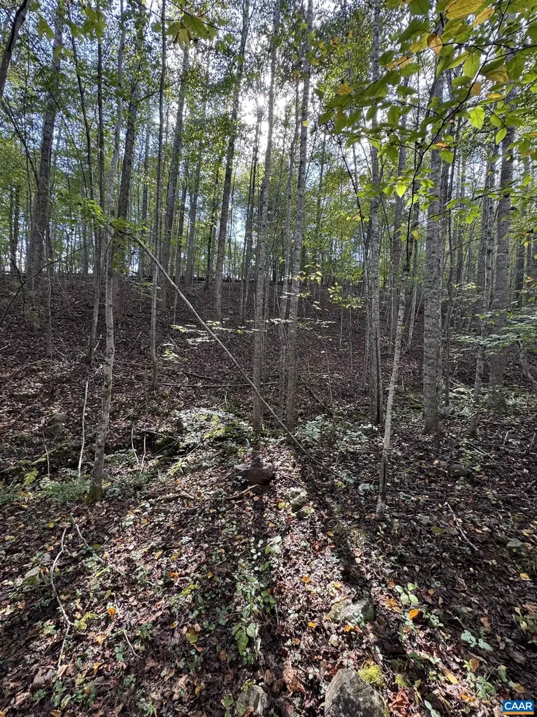 25 Falling Springs Drive Afton VA 22920