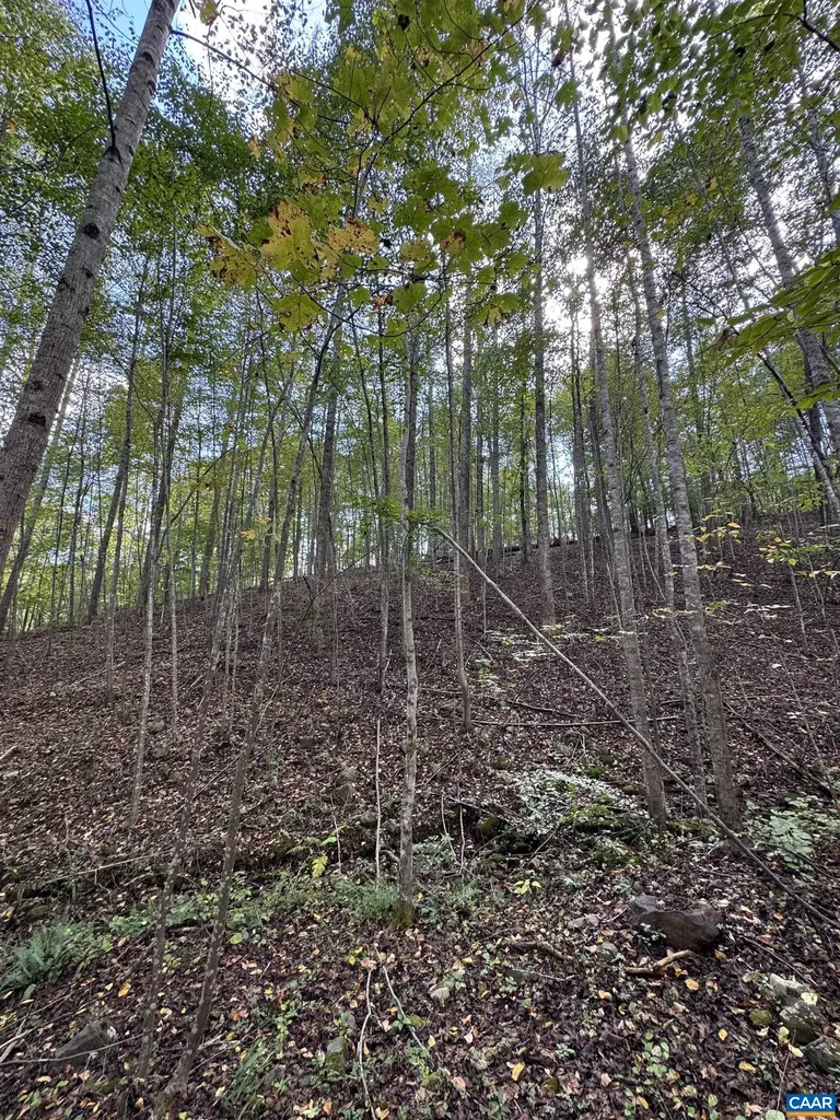 25 Falling Springs Drive Afton VA 22920