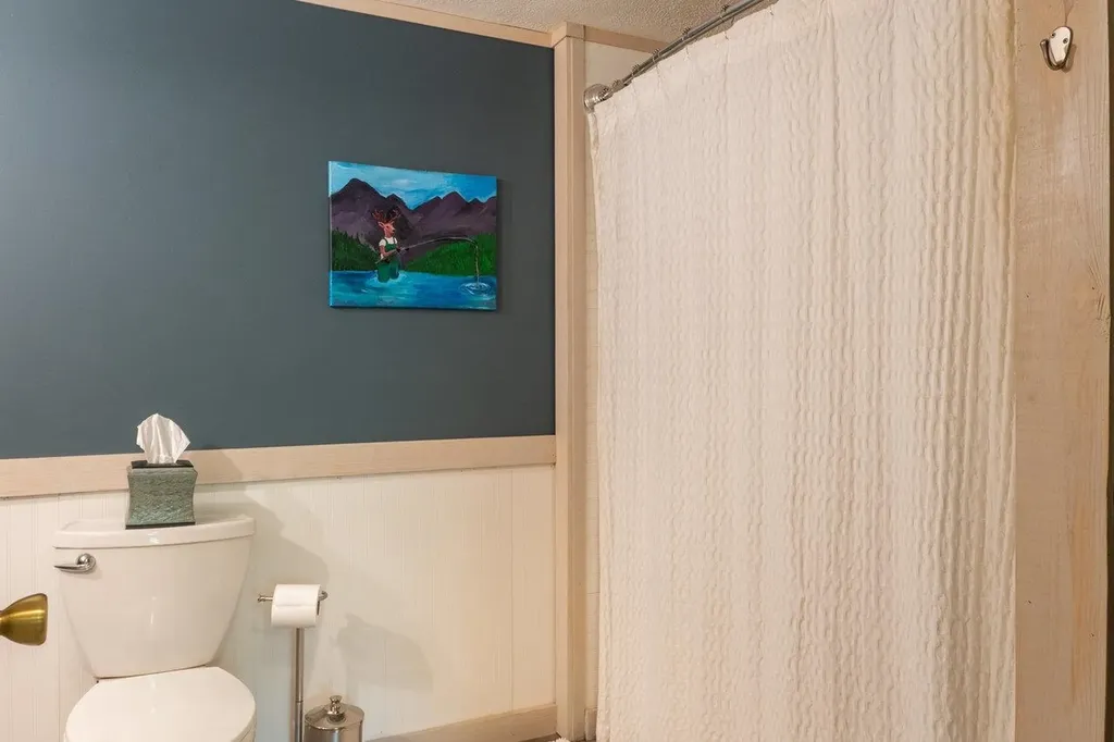 4679 Mountain Farm Road Elkton VA 22827