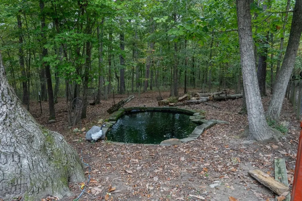 4679 Mountain Farm Road Elkton VA 22827