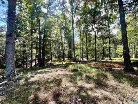 Midway Road Charlottesville VA 22903