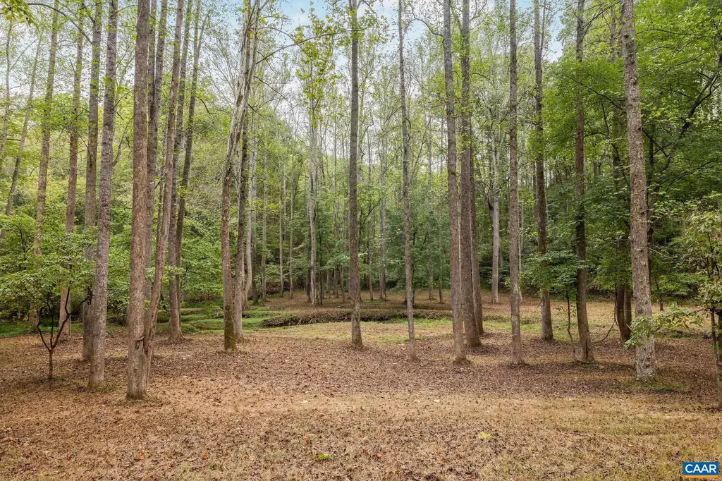 3395 Brookside Drive Charlottesville VA 22901