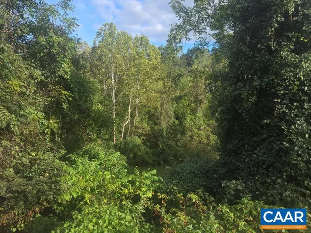 1641 Meridian Street Charlottesville VA 22902