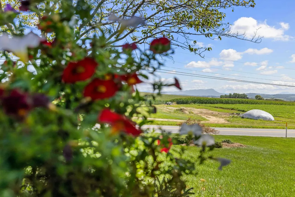 1529 Mount Crawford Avenue Bridgewater VA 22812