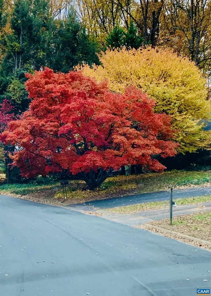 207 Surrey Road Charlottesville VA 22901