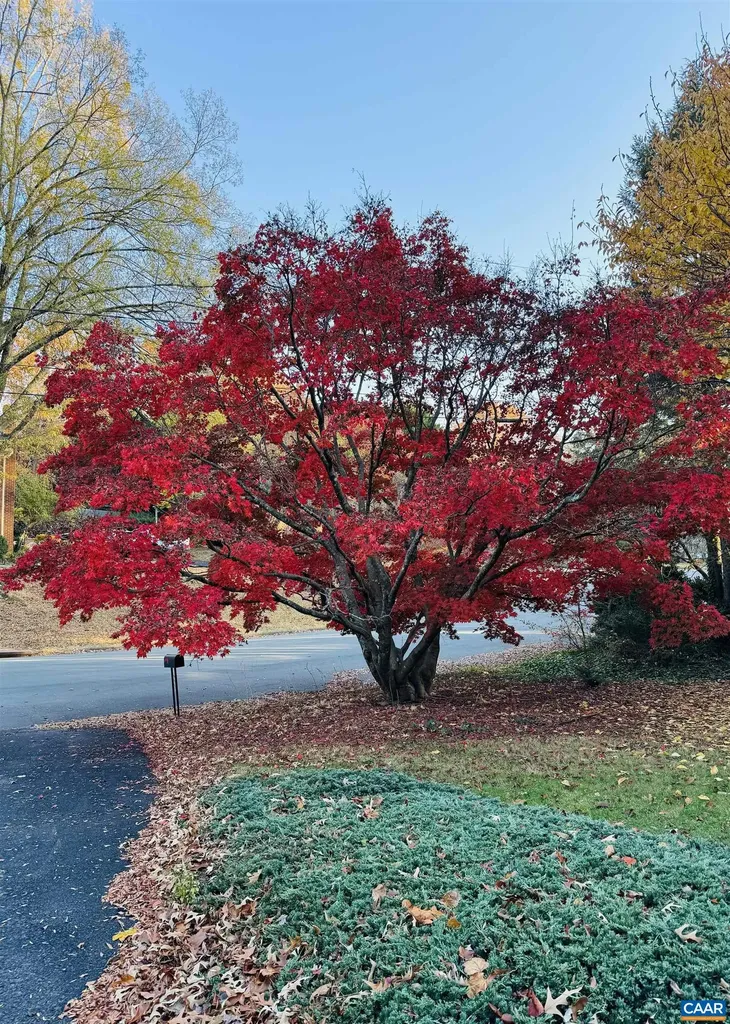 207 Surrey Road Charlottesville VA 22901