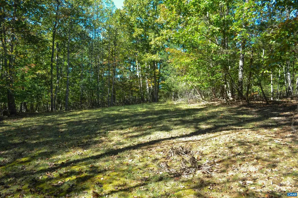 16070 Burnley Road Barboursville VA 22923