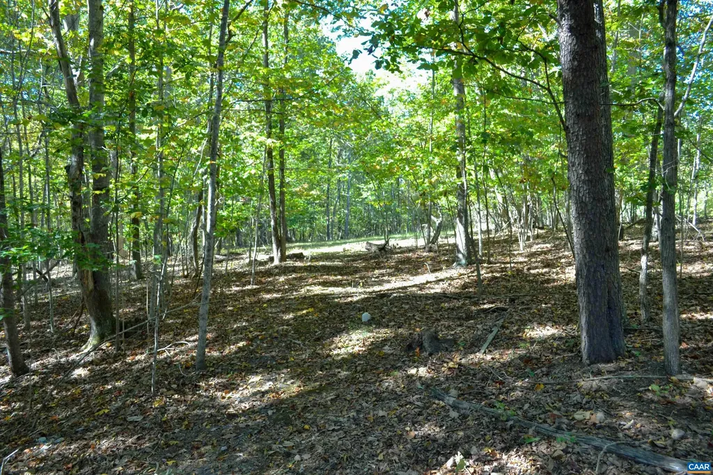 16070 Burnley Road Barboursville VA 22923