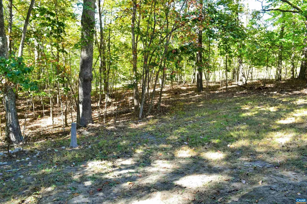 16070 Burnley Road Barboursville VA 22923