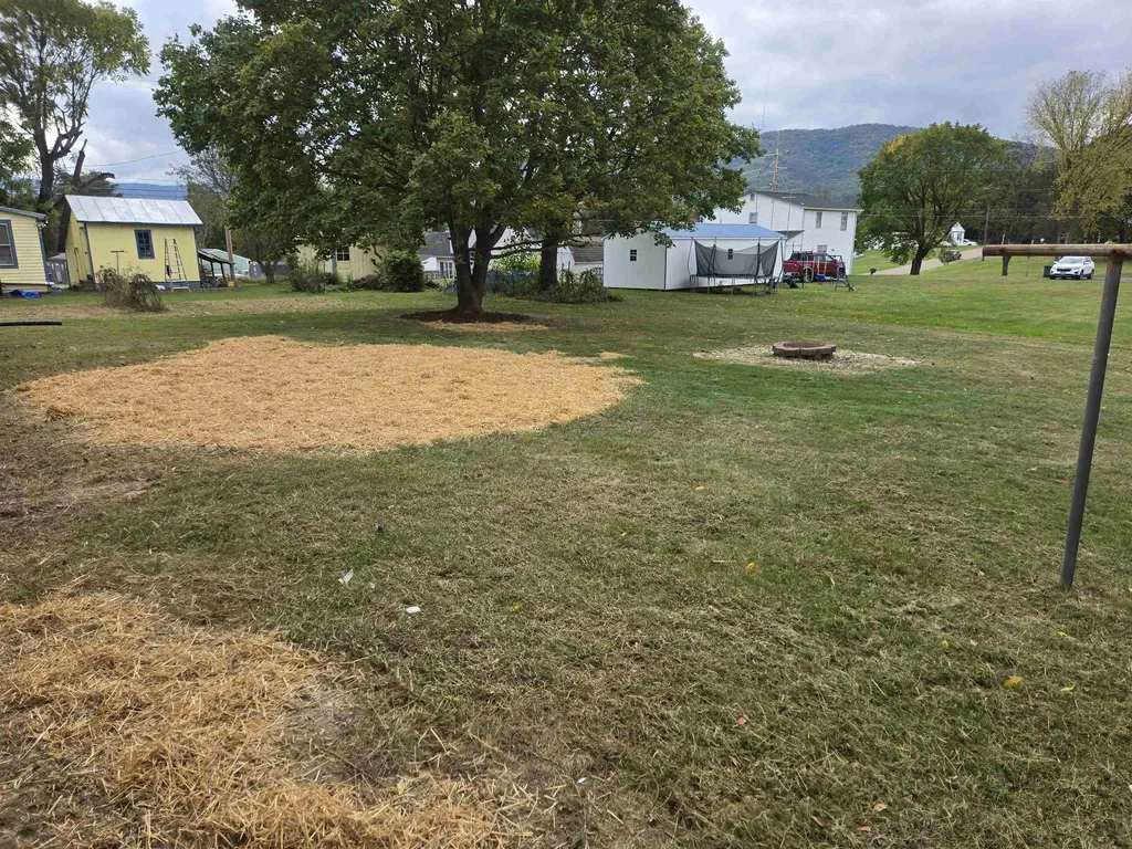 307 Spring Avenue W Elkton VA 22827