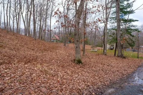 Tbd Horseshoe Hollow Greenville VA 24440