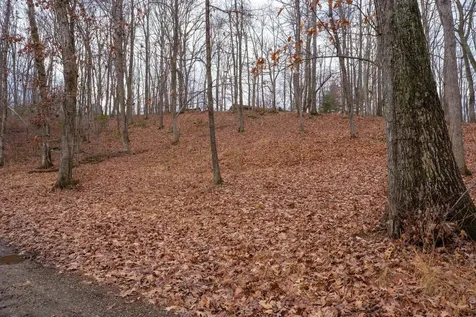 Tbd Horseshoe Hollow Greenville VA 24440