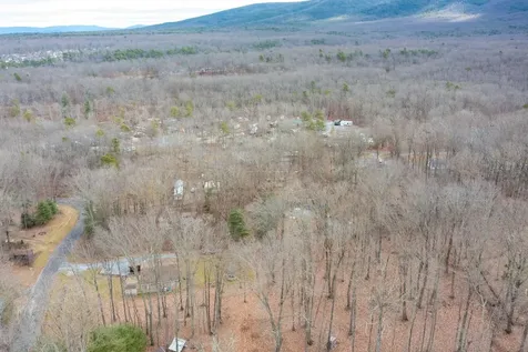Tbd Horseshoe Hollow Greenville VA 24440
