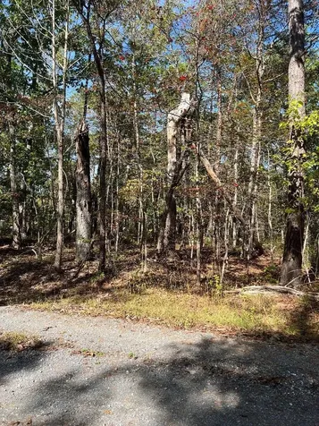 Tbd Gerties Lane Stuarts Draft VA 24477