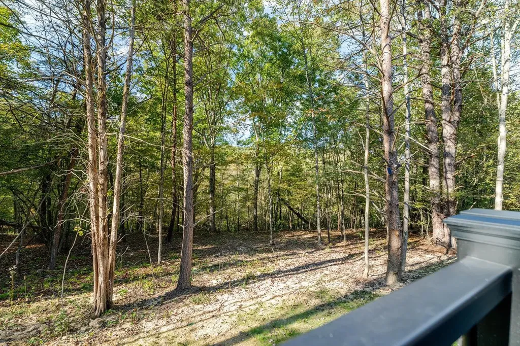 209 Beaver Road Basye VA 22810