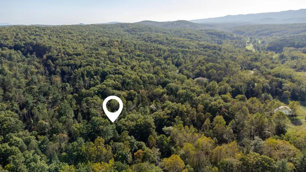 209 Beaver Road Basye VA 22810