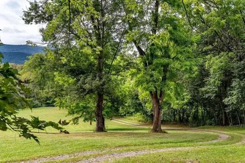 290 Shenandoah River Road Shenandoah VA 22849