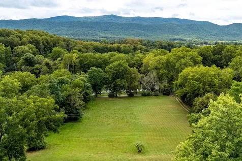 290 Shenandoah River Road Shenandoah VA 22849