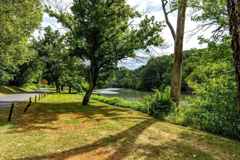 290 Shenandoah River Road Shenandoah VA 22849