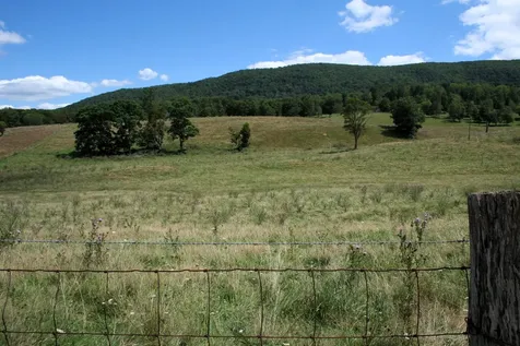 Tbd Mill Gap Road Monterey VA 24465