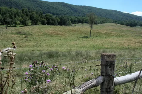 Tbd Mill Gap Road Monterey VA 24465