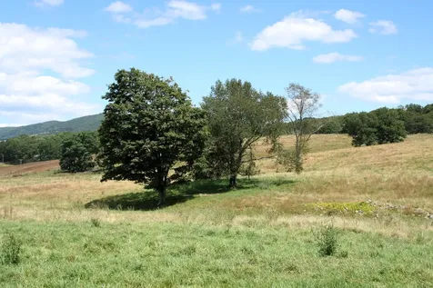 Tbd Mill Gap Road Monterey VA 24465