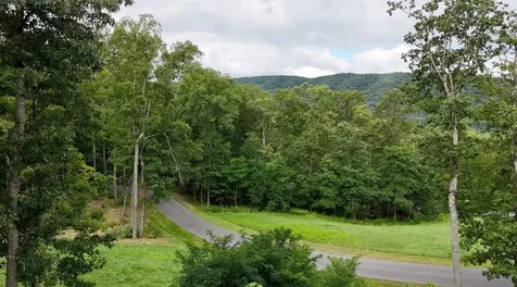 15 Delafield Road Hot Springs VA 24445