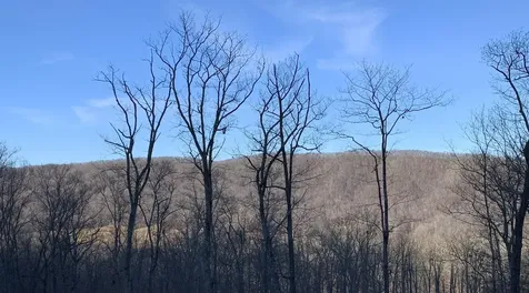 15 Delafield Road Hot Springs VA 24445