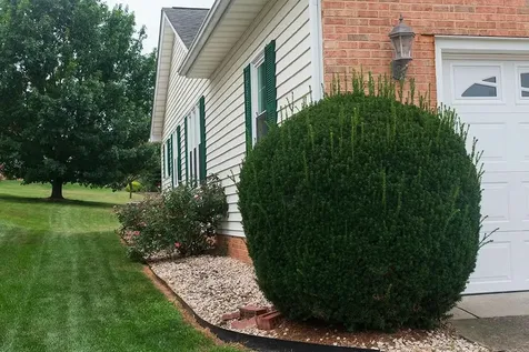 184 Walnut Drive Broadway VA 22815