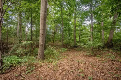 1557 Rinacas Corner Road Shenandoah VA 22849