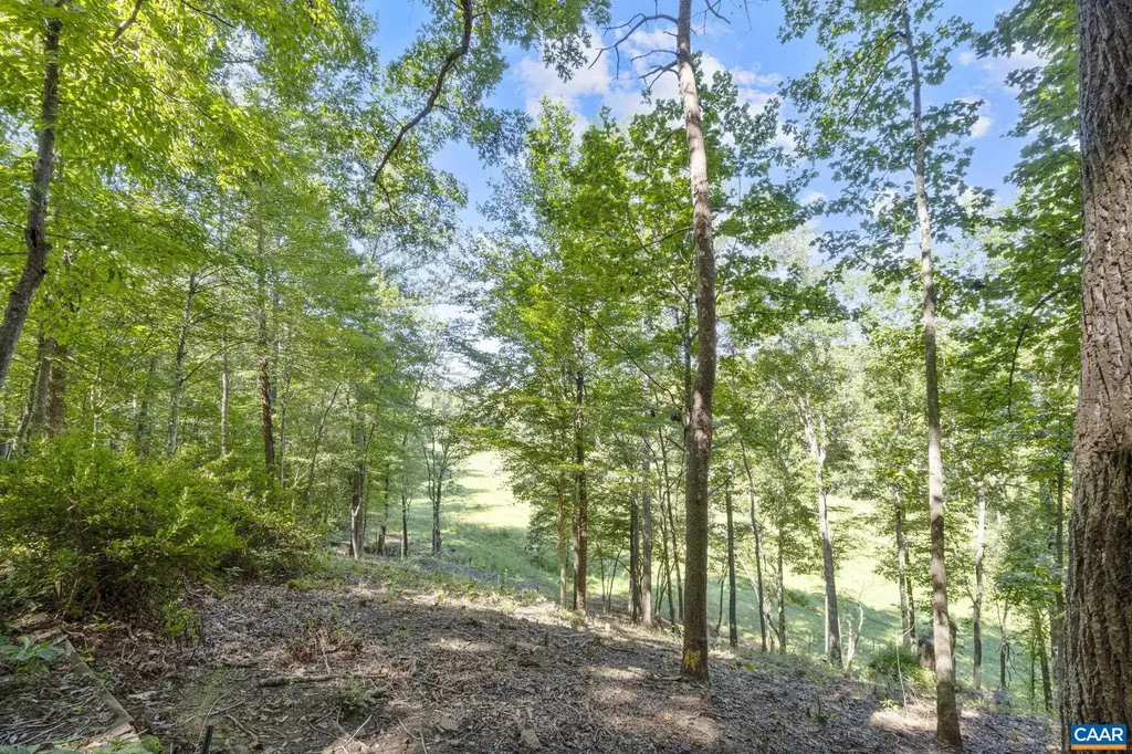 318 Miller School Road Charlottesville VA 22903