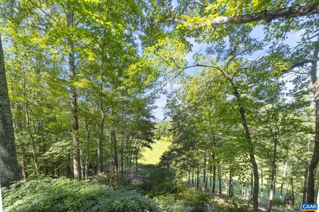 318 Miller School Road Charlottesville VA 22903