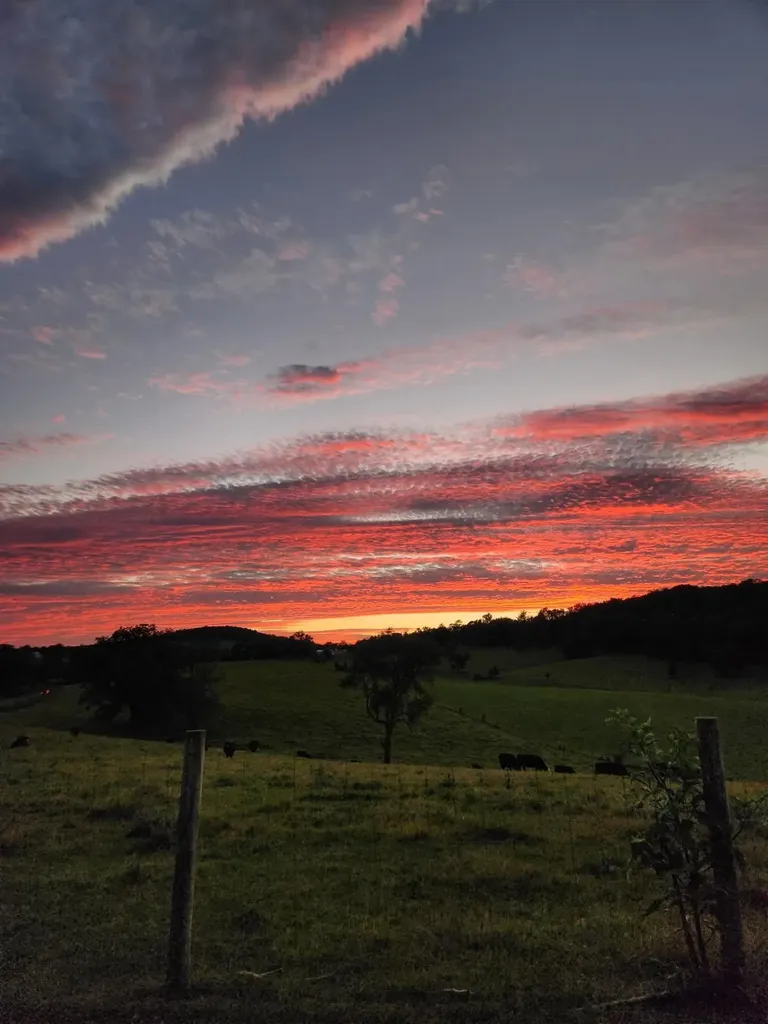 3390 Spring Creek Road Bridgewater VA 22812