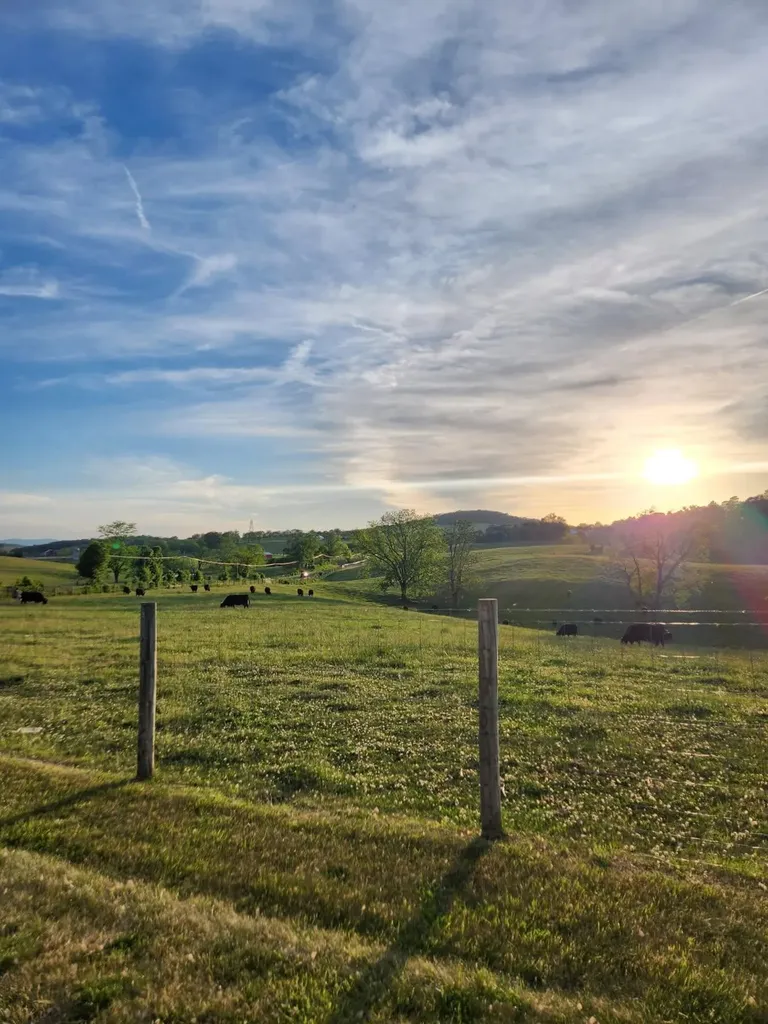 3390 Spring Creek Road Bridgewater VA 22812