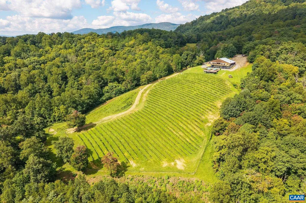 1376 Wyatt Mountain Road Dyke VA 22935