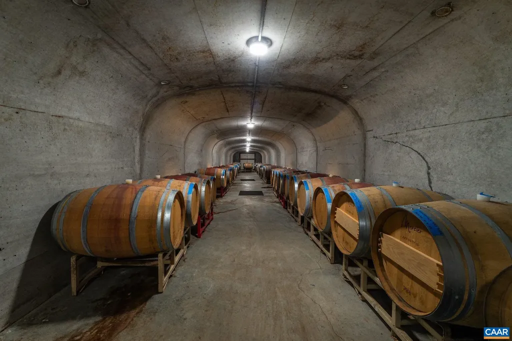 1376 Wyatt Mountain Road Dyke VA 22935