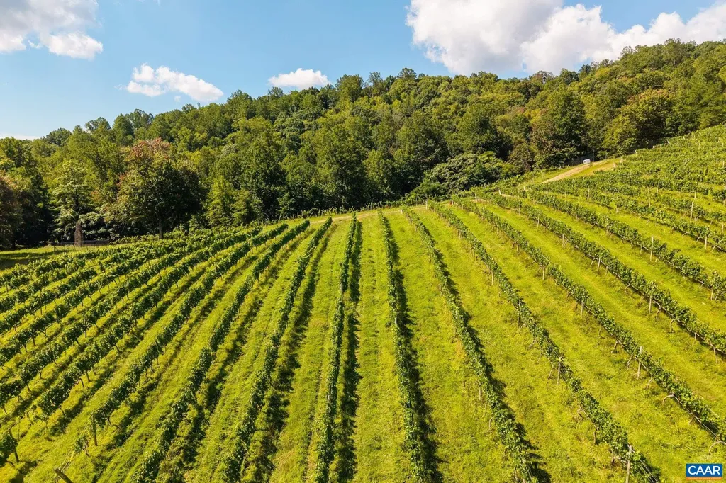 1376 Wyatt Mountain Road Dyke VA 22935