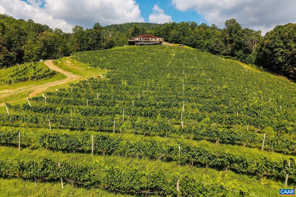 1376 Wyatt Mountain Road Dyke VA 22935