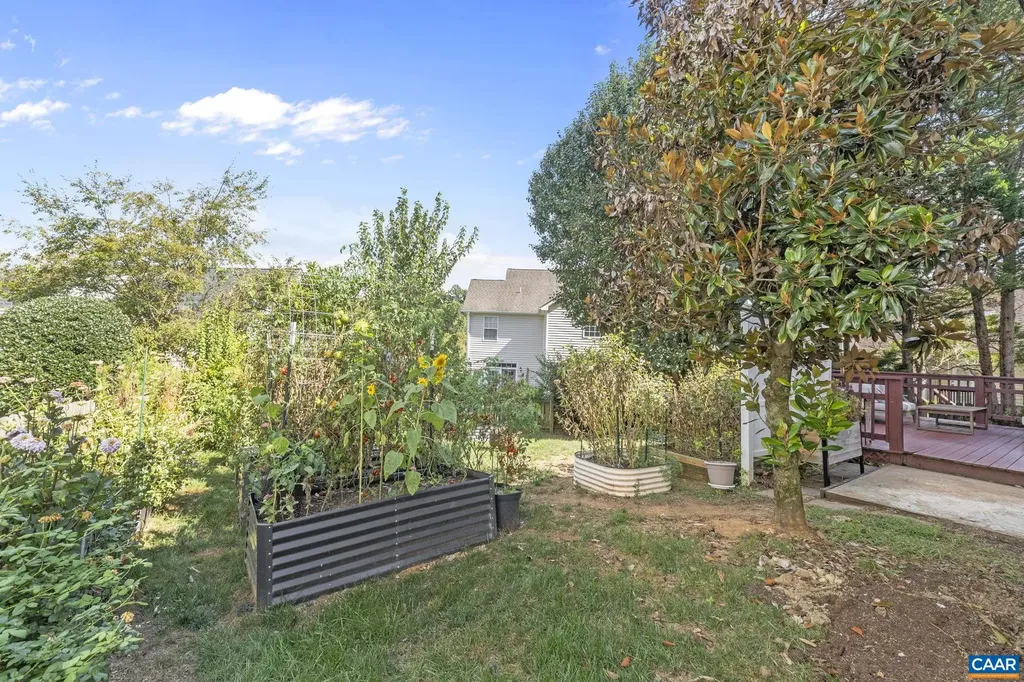 927 Canvas Back Drive Charlottesville VA 22903