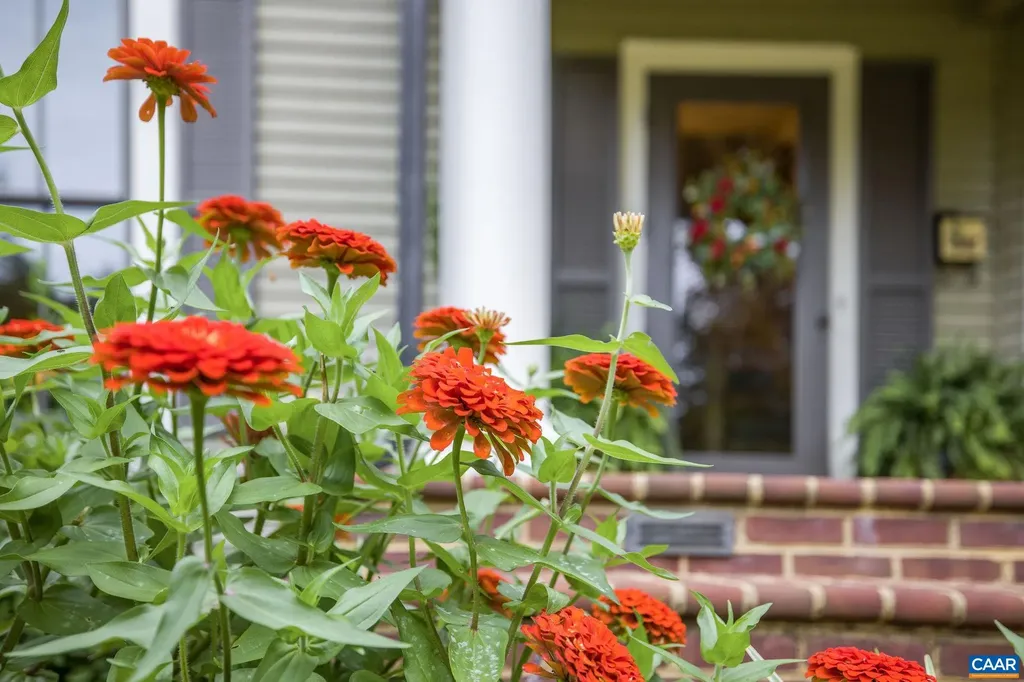 119 Peliso Avenue Orange VA 22960