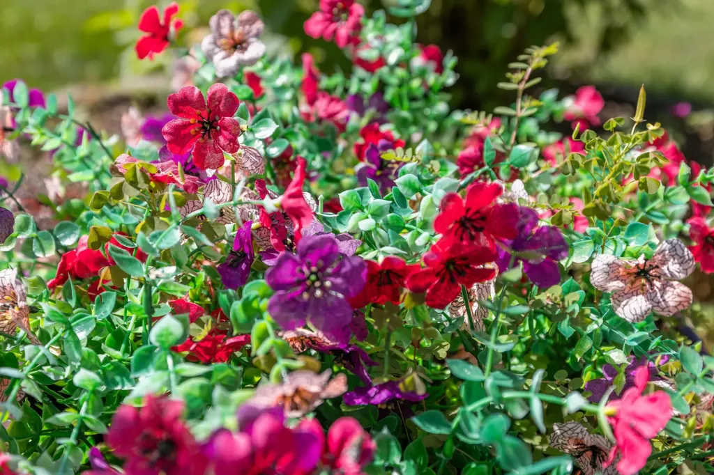 107 Wheatland Drive Bridgewater VA 22812