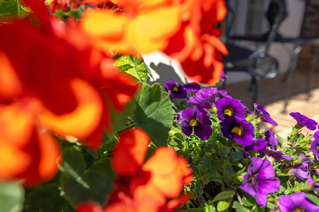 107 Wheatland Drive Bridgewater VA 22812