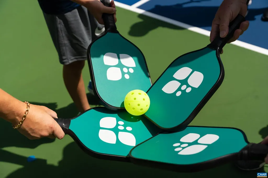 18 Grassy Overlook Wintergreen VA 22967