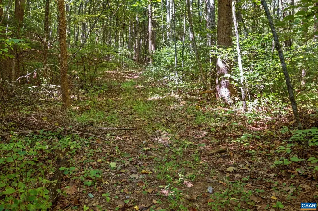 299 Sunrise Drive Afton VA 22920